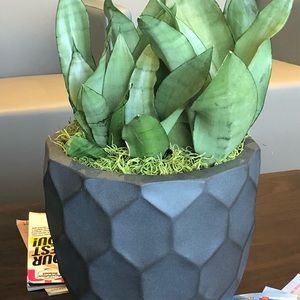 Meet your Posher, Lynn